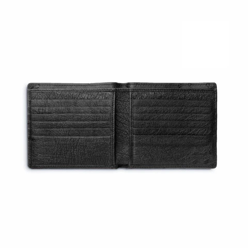 Ferrini Full Quill Ostrich Hipster Black by Ferrini USA