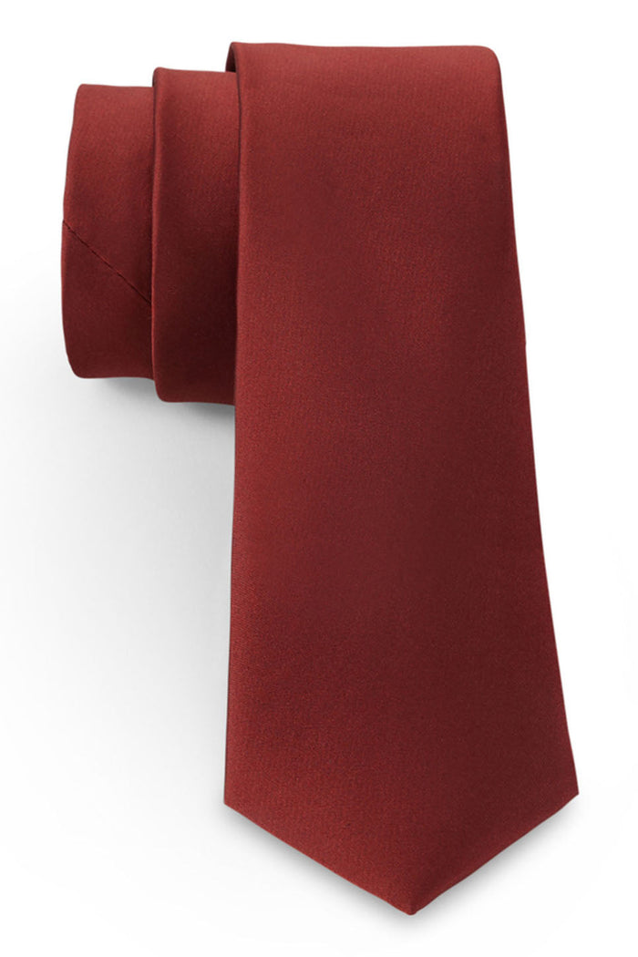 Rust Solid Satin Silk Necktie by Allure Men