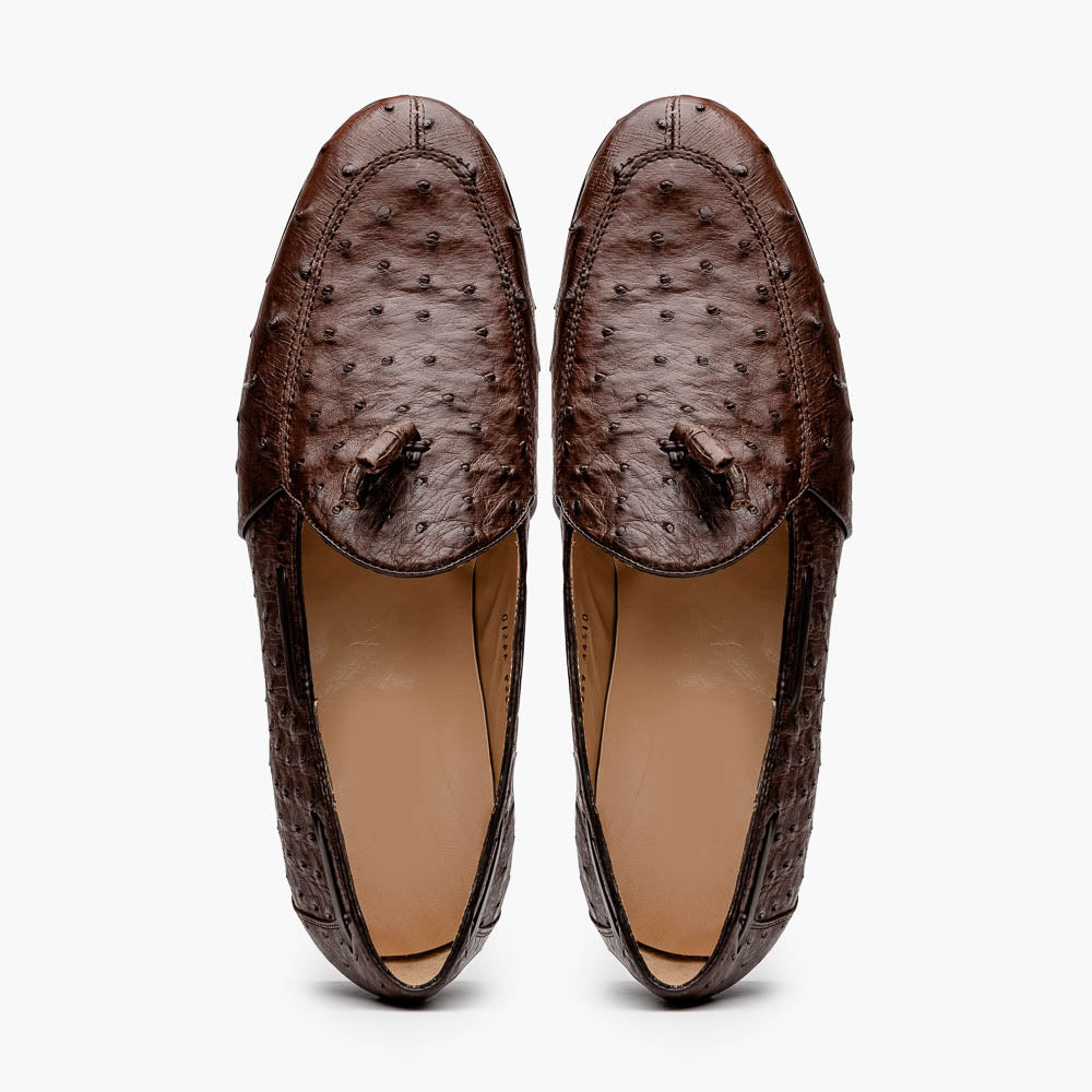 Aubiere Brown Ostrich Loafer 