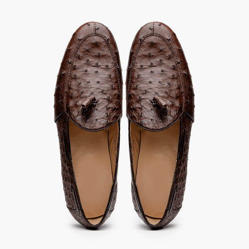 Aubiere Brown Ostrich Loafer 