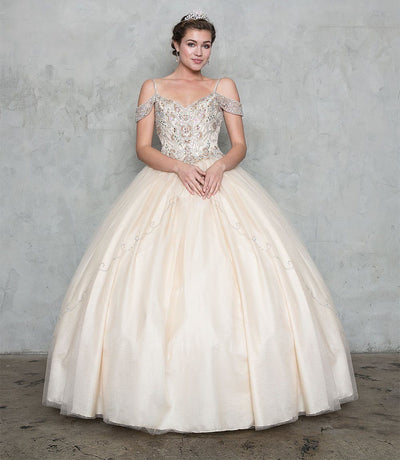 Cold-Shoulder Beaded Quinceañera Dress with A-Line Tulle Skirt by Calla Collection KY-78011