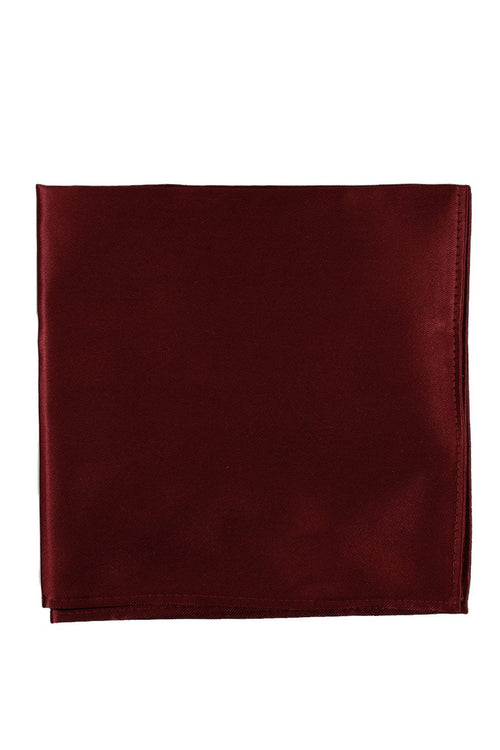 Apple Eternity Pocket Square BLACKTIE