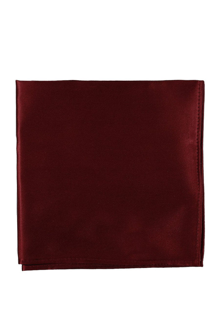 Apple Eternity Pocket Square BLACKTIE