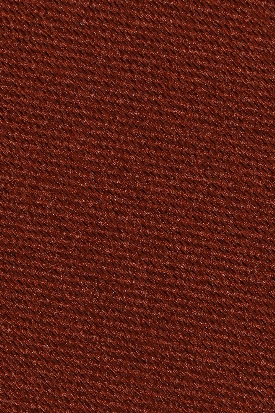 Cinnamon Eternity Necktie by BLACKTIE