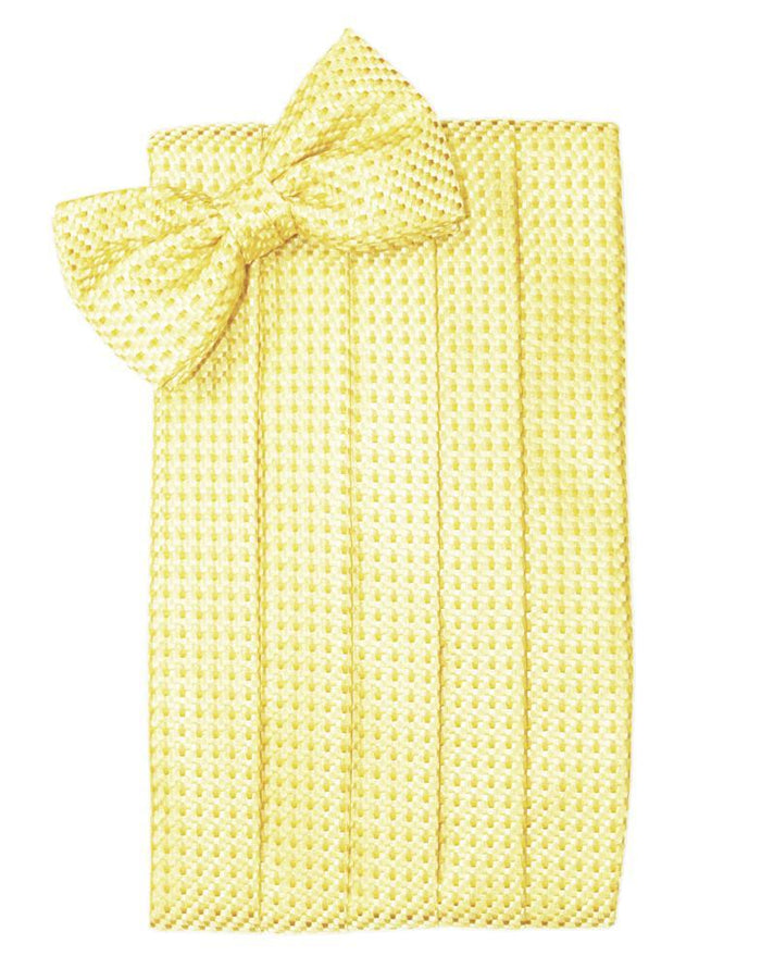 Buttercup Venetian Cummerbund by Cardi