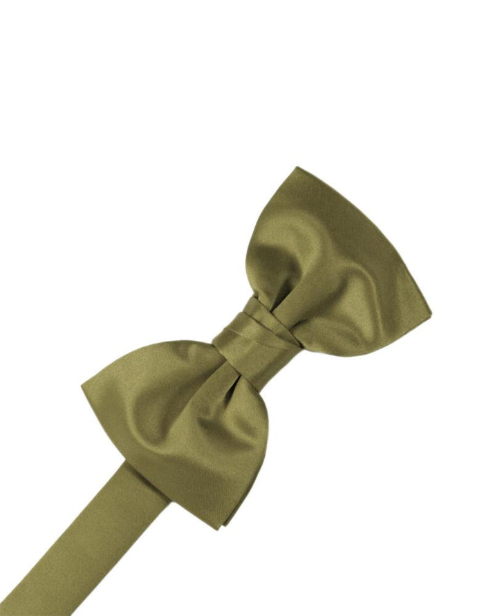 Fern Luxury Satin Kids Bow Tie by Cardi