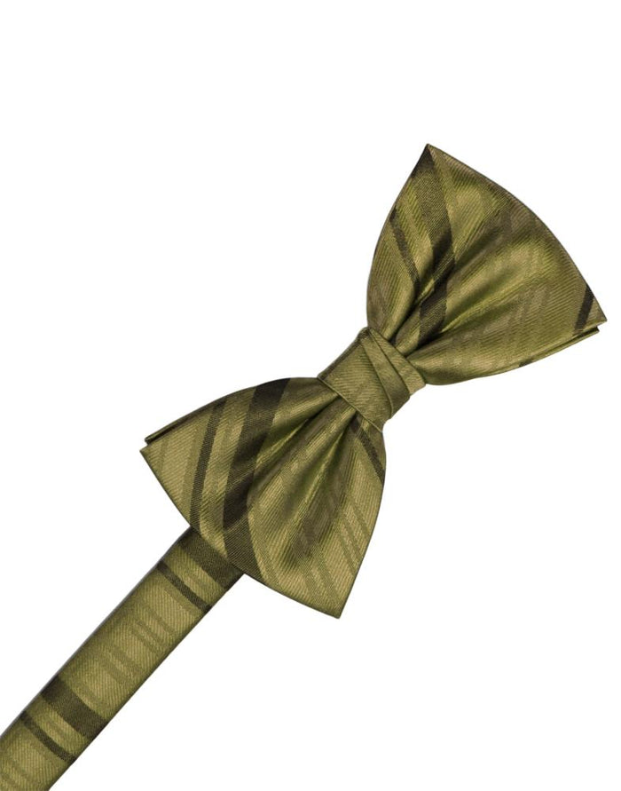Fern Striped Satin Kids Bow Tie by Cardi
