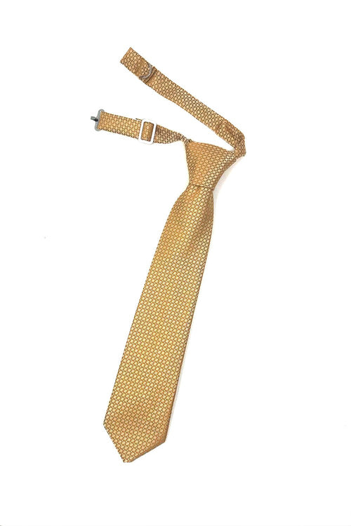 Gold Regal Kids Necktie by Cardi