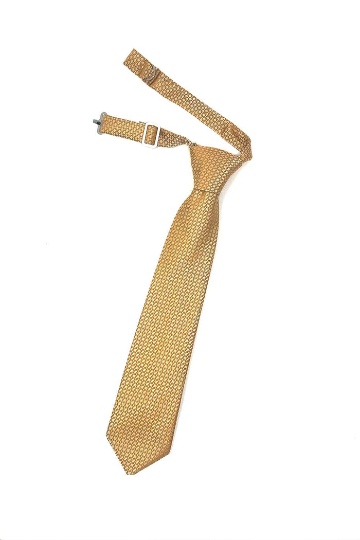 Gold Regal Kids Necktie by Cardi
