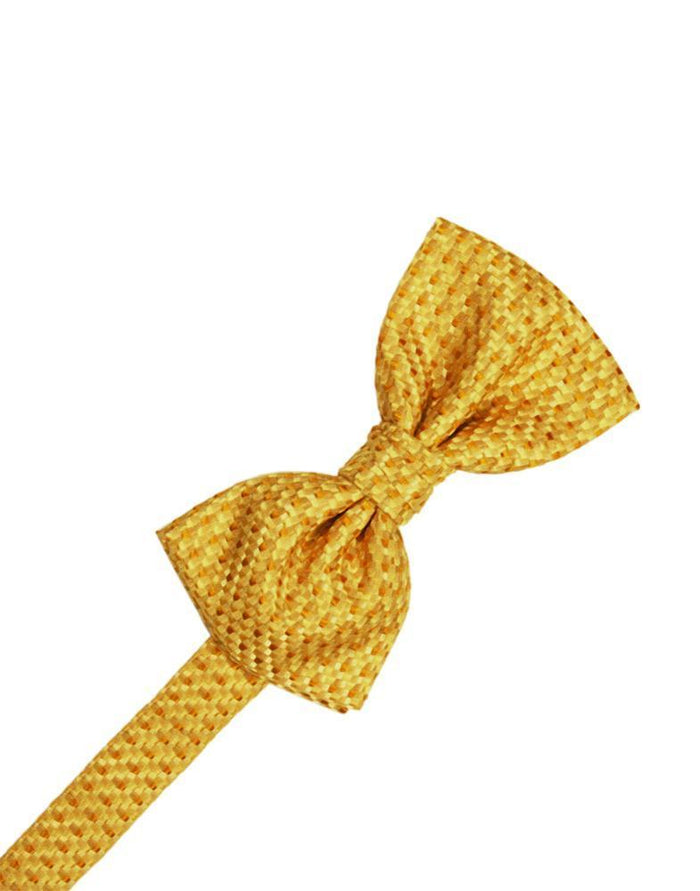 Gold Venetian Kids Bow Tie by Cardi