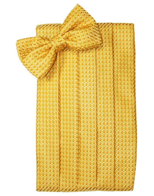Gold Venetian Kids Cummerbund by Cardi