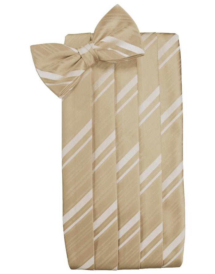 Golden Striped Satin Cummerbund by Cardi