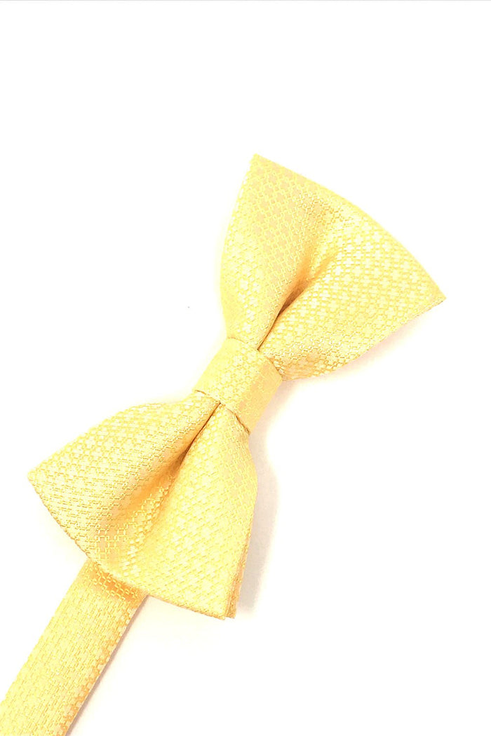 Harvest Maize Regal Kids Bow Tie by Cardi