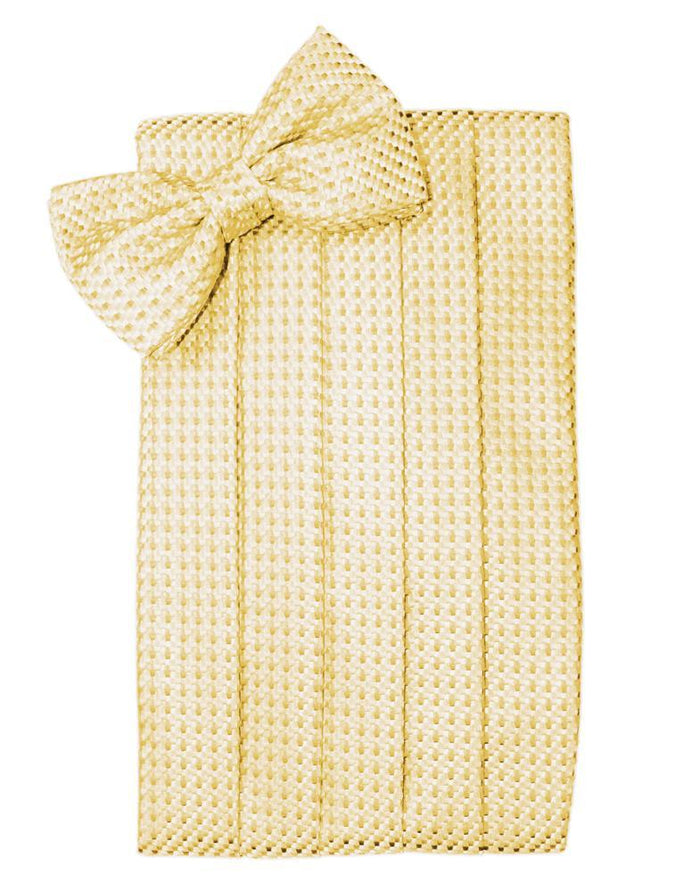 Harvest Maize Venetian Cummerbund by Cardi