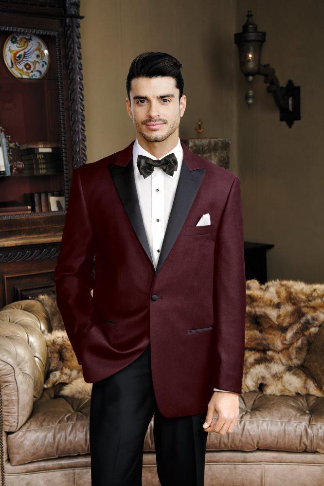 Liam Merlot Velvet Jacket (Separates) by Cardi
