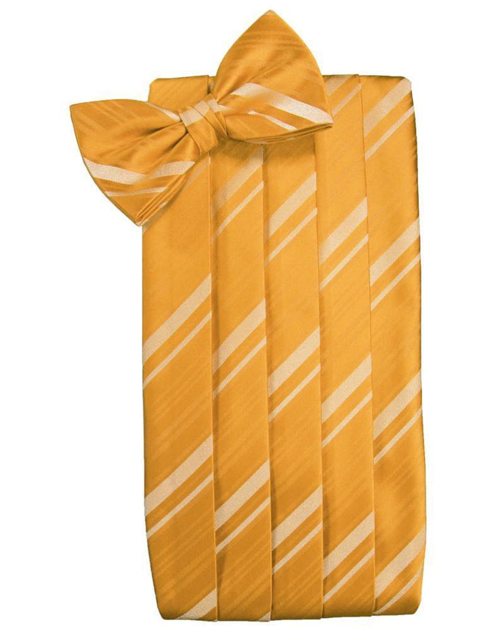 Mandarin Kids Striped Satin Cummerbund by Cardi