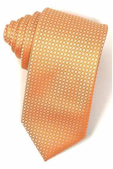 Orange Regal Necktie by Cardi