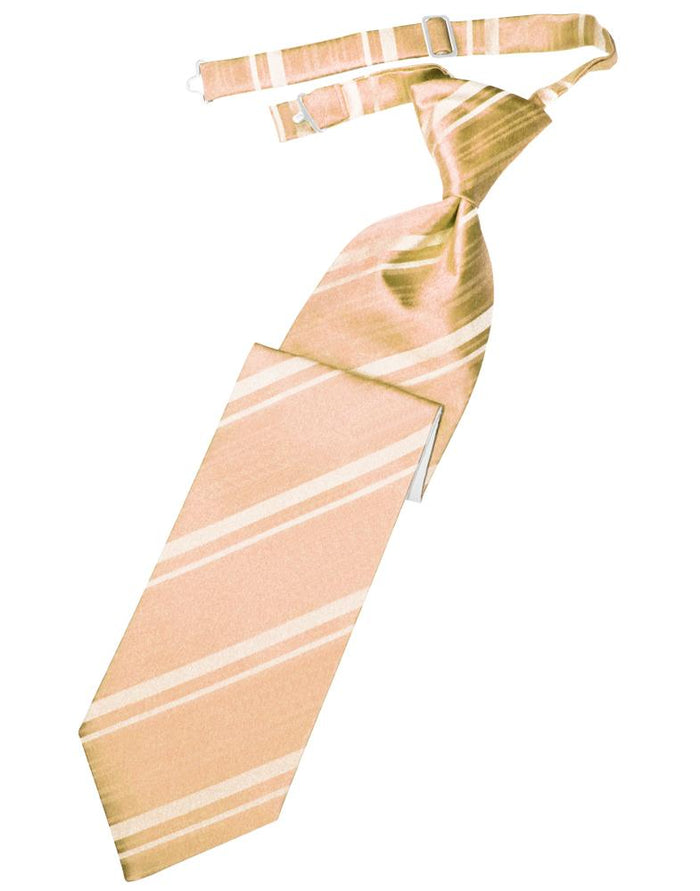 Cardi Pre-Tied Peach Striped Satin Necktie