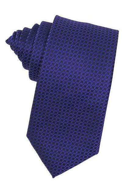 Purple Regal Necktie by Cardi