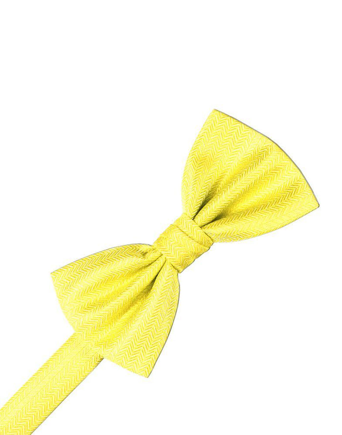 Sunbeam Herringbone Bow Tie by Cardi