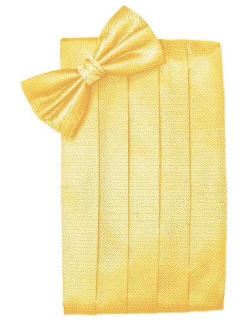 Sunbeam Herringbone Cummerbund by Cardi