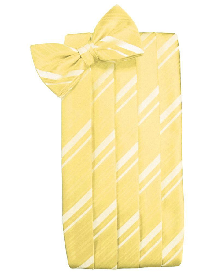 Sunbeam Striped Satin Cummerbund by Cardi