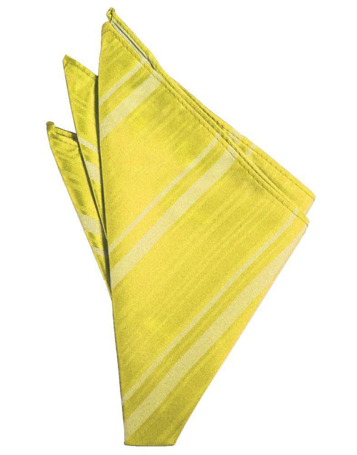 Sunbeam Striped Satin Pocket Square by Cardi
