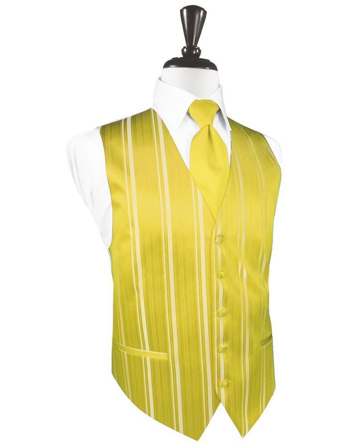 Sunbeam Striped Satin Tuxedo Vest by Cardi