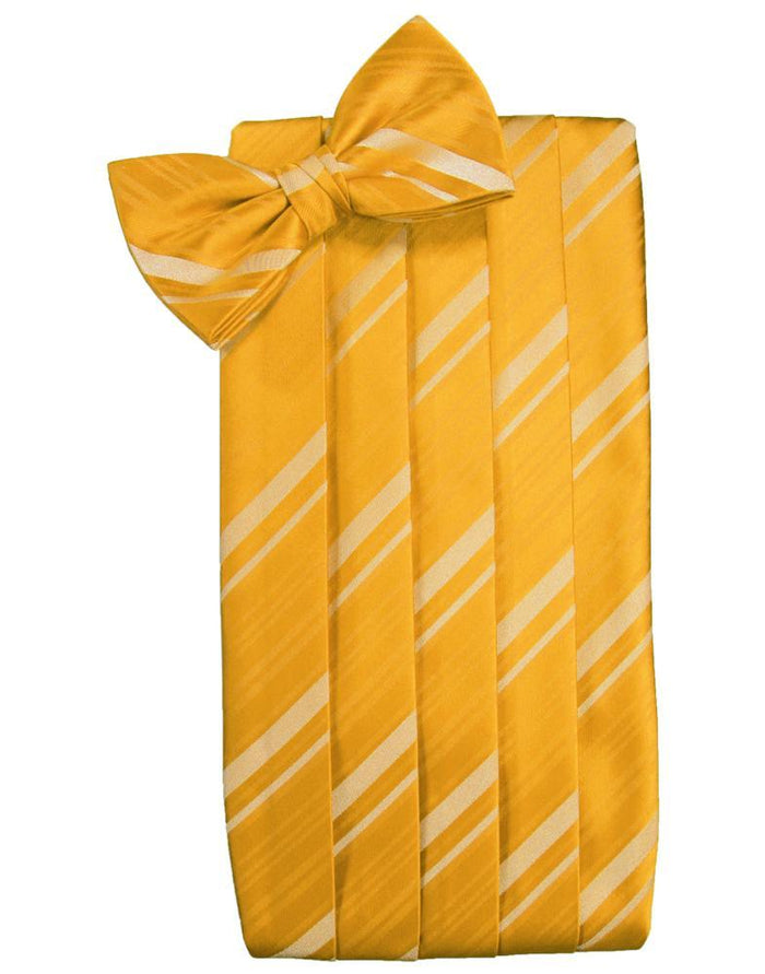 Tangerine Striped Satin Cummerbund by Cardi