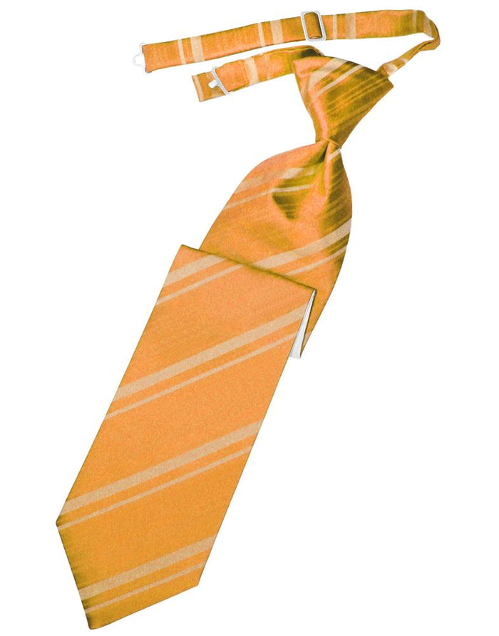 Tangerine Striped Satin Kids Necktie by Cardi