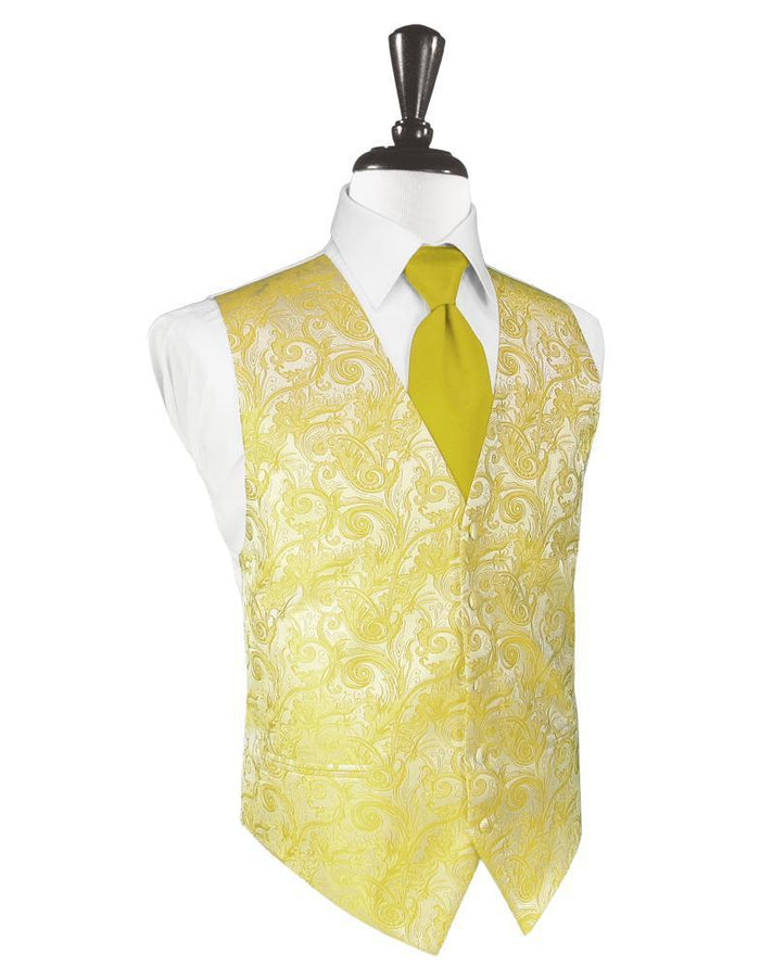 Willow Tapestry Tuxedo Vest by Cardi