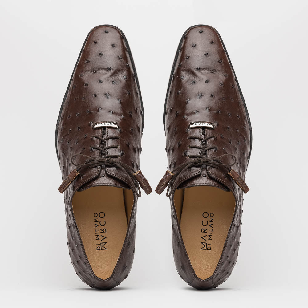 Marco Di Milano Criss Ostrich Quill Dress Oxfords Brown