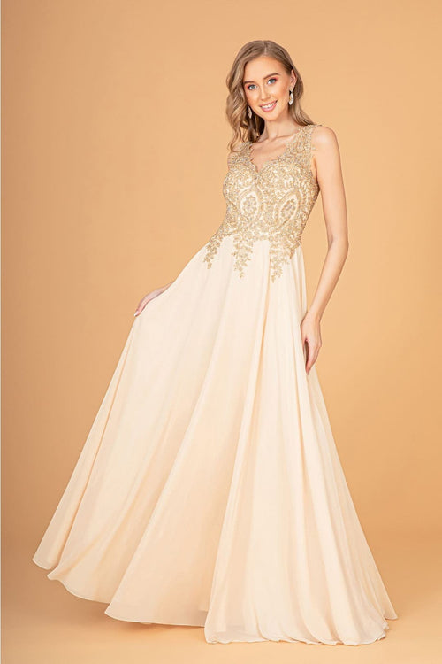 Embroidered Chiffon Dress by Elizabeth K GL2311
