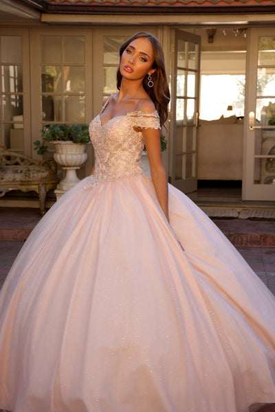Juliet 1430 Cold Shoulder Embroidered Tulle Quinceanera Dress with Corset Back