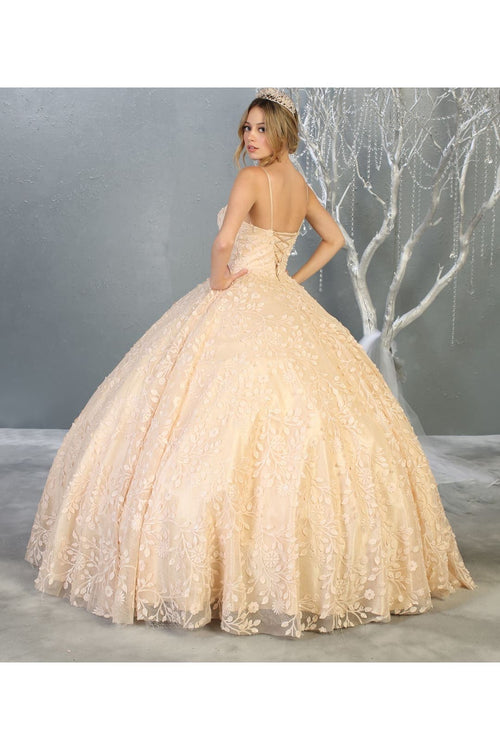 Embroidered Foliage Quinceanera Ball Gown