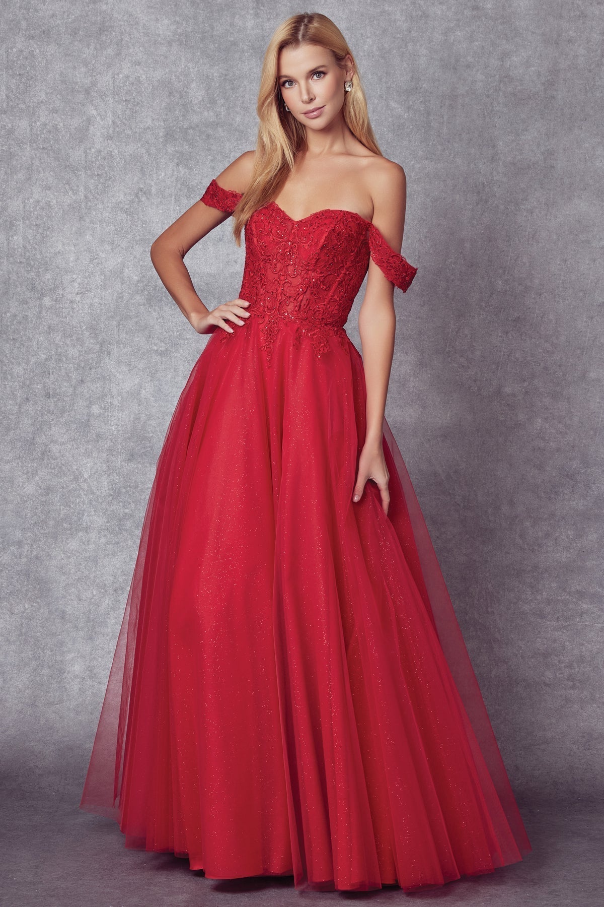 Juliet 280 Embroidered Illusion Bodice Glitter Tulle Off Shoulder Dress