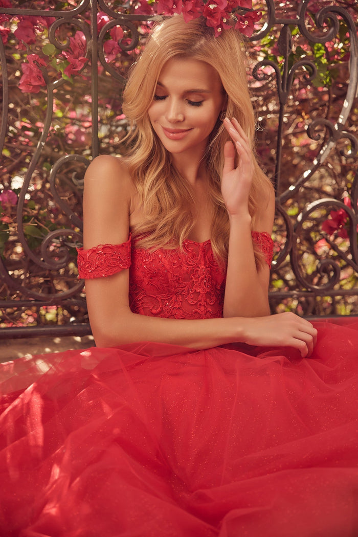 Juliet 280 Embroidered Illusion Bodice Glitter Tulle Off Shoulder Dress