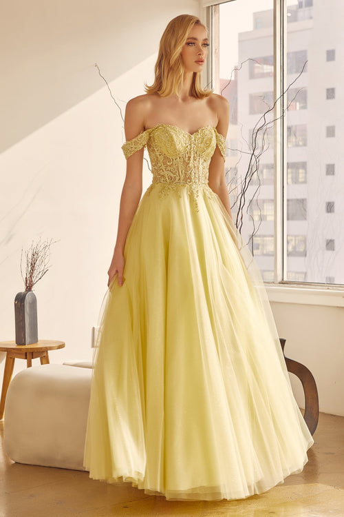 Juliet 280 Embroidered Illusion Bodice Glitter Tulle Off Shoulder Dress