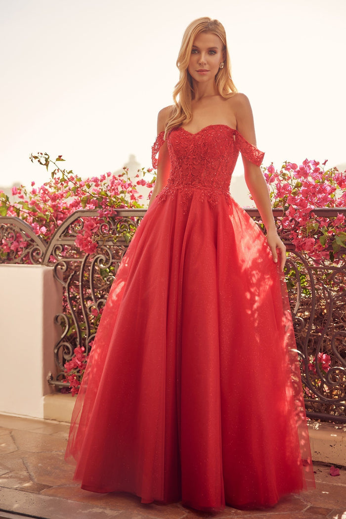 Juliet 280 Embroidered Illusion Bodice Glitter Tulle Off Shoulder Dress