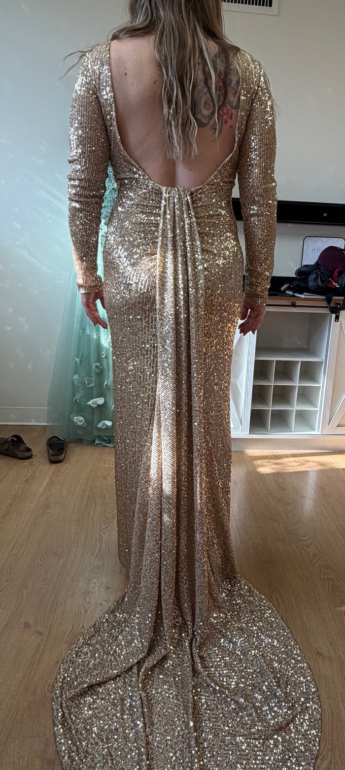 Long Sleeve Stretchy Red Carpet Sequin Formal Dress