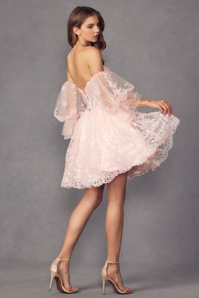 Dama Dresses for Quinceanera in Blush Style 895 Quince Outfit