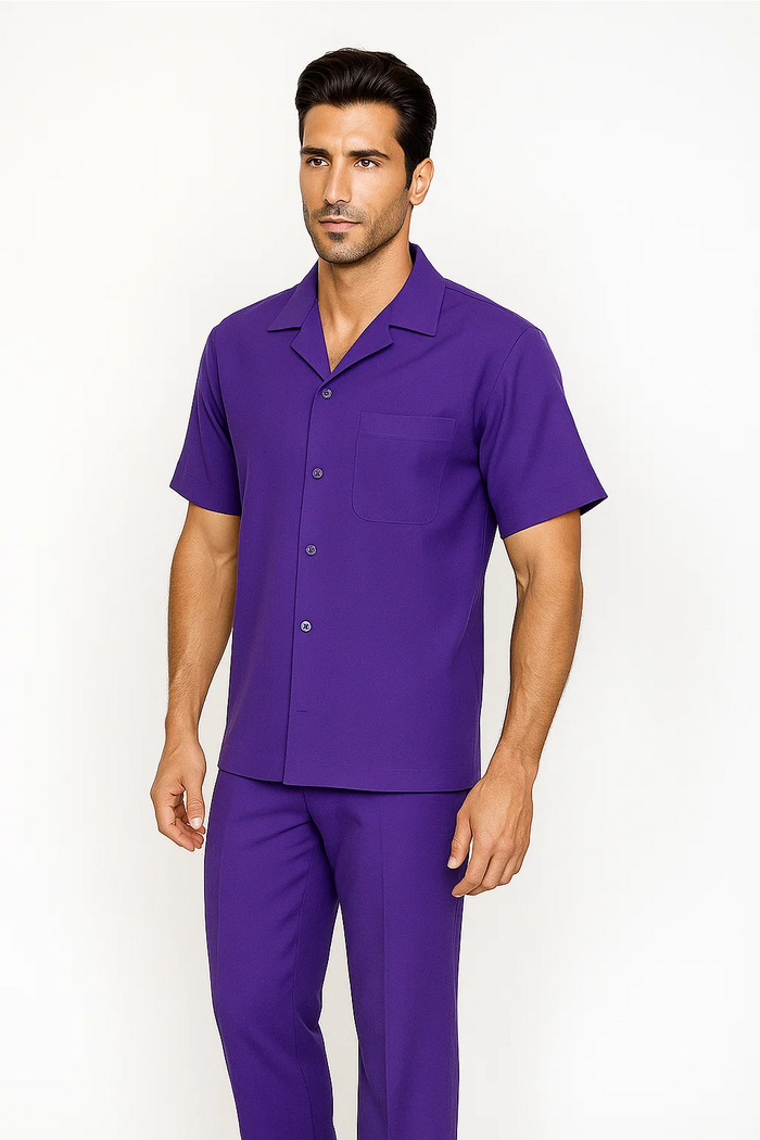 Mens Walking Suit in Color Purple Leisure Suit Casual Matching Shirt and Pants $99 by Zacchi