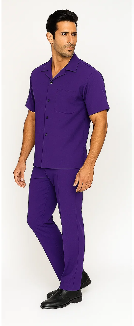 Mens Walking Suit in Color Purple Leisure Suit Casual Matching Shirt and Pants $99 by Zacchi