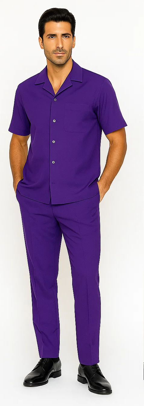 Mens Walking Suit in Color Purple Leisure Suit Casual Matching Shirt and Pants $99 by Zacchi