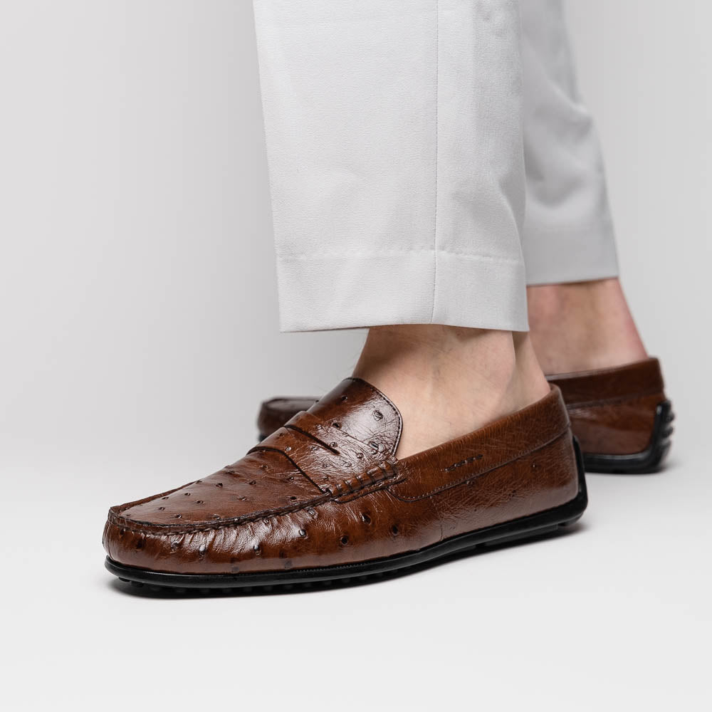 Zelli Monza Genuine Ostrich Quill Driving Loafers in Brown