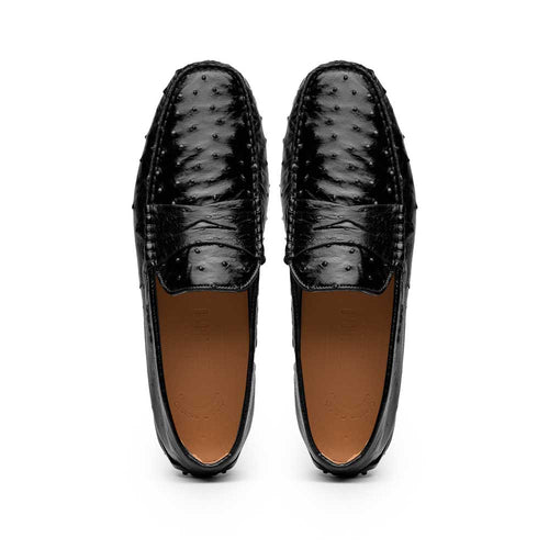 Zelli Monza Ostrich Quill Driving Loafers in Black
