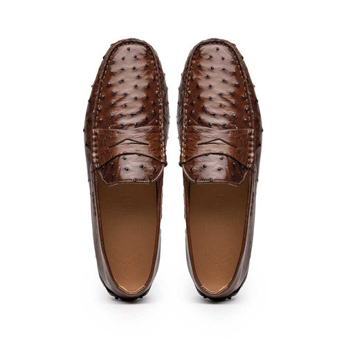 Zelli Monza Genuine Ostrich Quill Driving Loafers in Brown