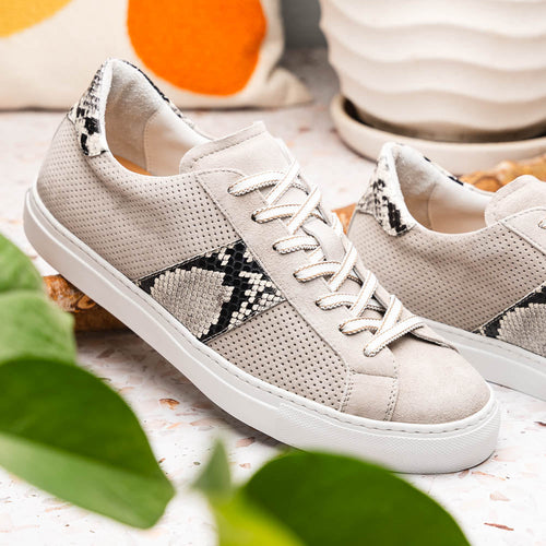 Zelli Olympias Python and Sueded Goatskin Luxury Sneakers in Grey