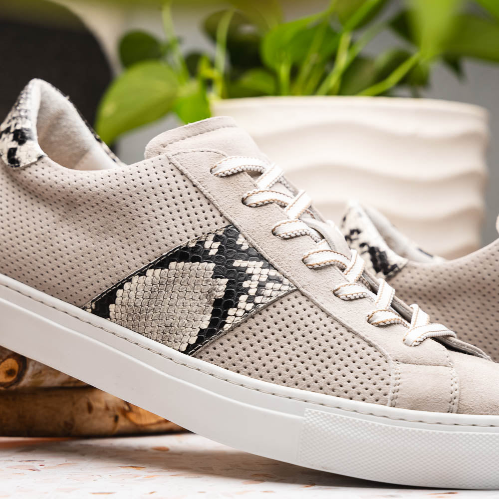 Zelli Olympias Python and Sueded Goatskin Luxury Sneakers in Grey