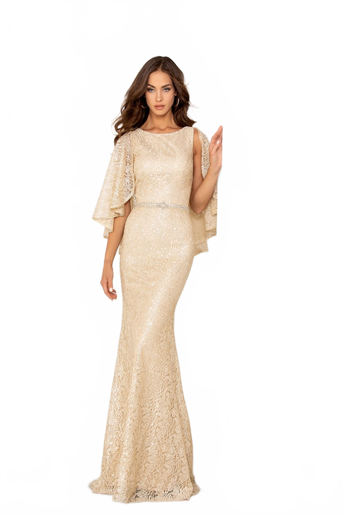 Fitted Embroidered Capelet Gown by Lucci Lu 6048W
